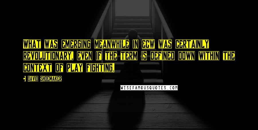 David Shoemaker Quotes: What was emerging meanwhile in ECW was certainly revolutionary, even if the term is defined down within the context of play fighting.