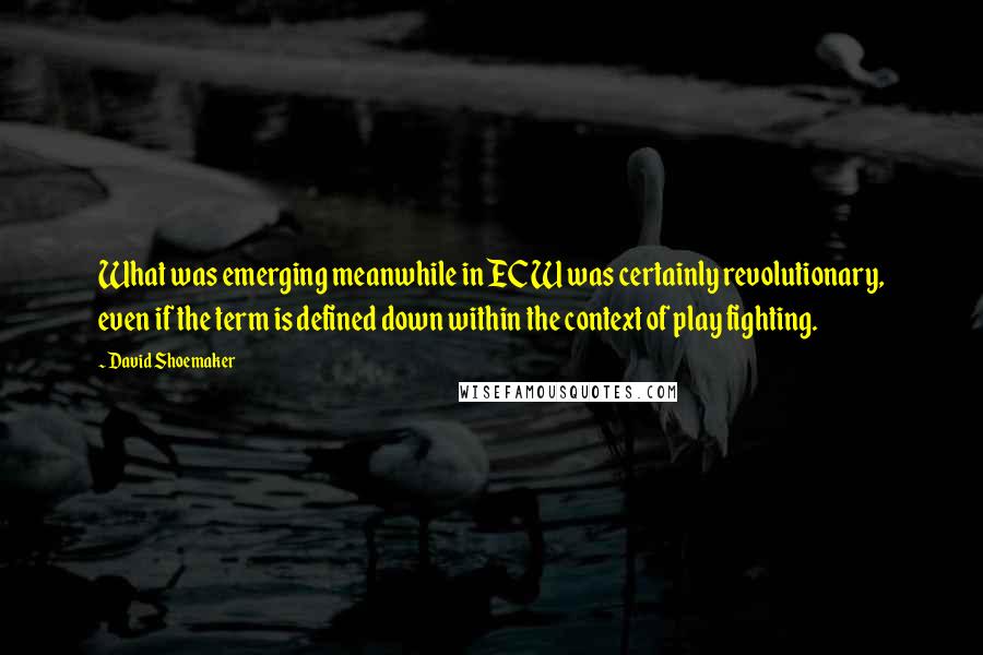 David Shoemaker Quotes: What was emerging meanwhile in ECW was certainly revolutionary, even if the term is defined down within the context of play fighting.