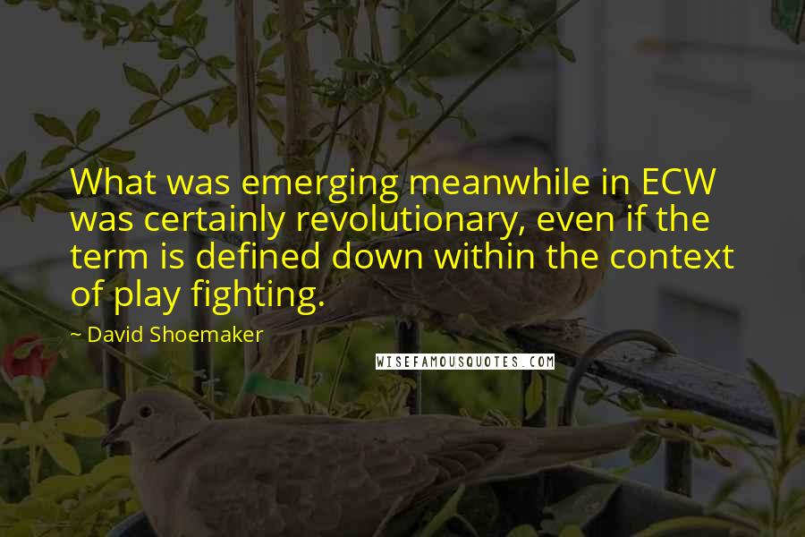 David Shoemaker Quotes: What was emerging meanwhile in ECW was certainly revolutionary, even if the term is defined down within the context of play fighting.