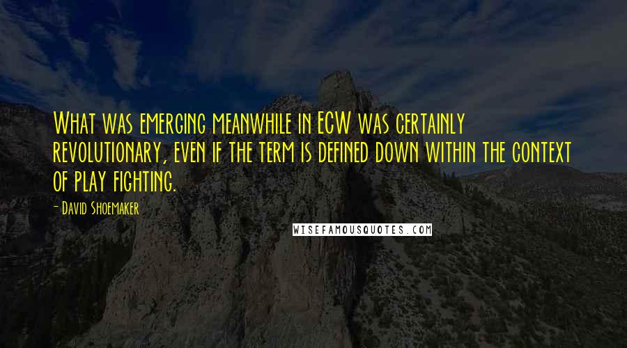 David Shoemaker Quotes: What was emerging meanwhile in ECW was certainly revolutionary, even if the term is defined down within the context of play fighting.