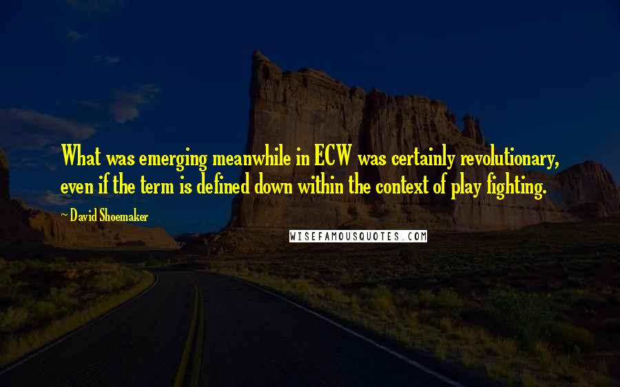 David Shoemaker Quotes: What was emerging meanwhile in ECW was certainly revolutionary, even if the term is defined down within the context of play fighting.