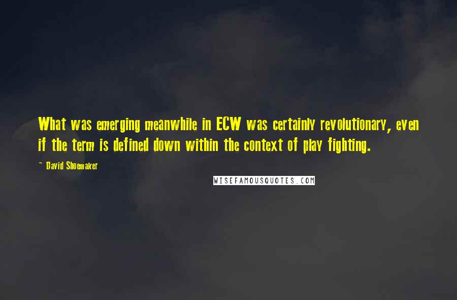 David Shoemaker Quotes: What was emerging meanwhile in ECW was certainly revolutionary, even if the term is defined down within the context of play fighting.