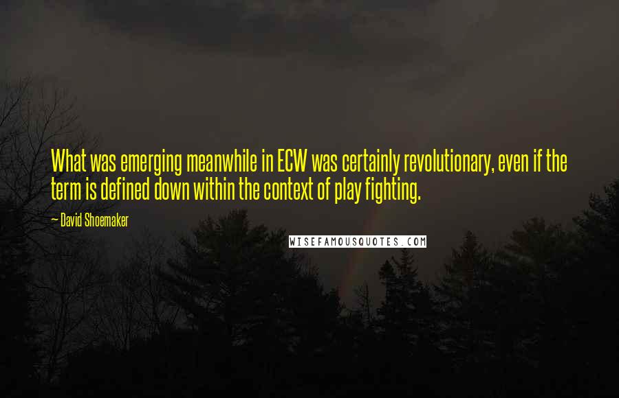 David Shoemaker Quotes: What was emerging meanwhile in ECW was certainly revolutionary, even if the term is defined down within the context of play fighting.