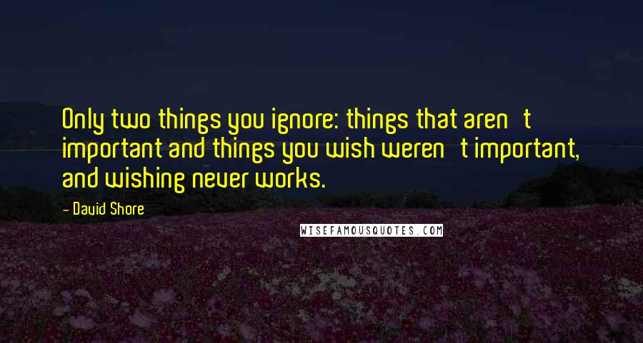 David Shore Quotes: Only two things you ignore: things that aren't important and things you wish weren't important, and wishing never works.