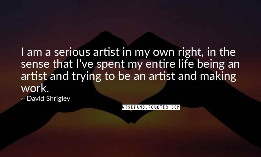 David Shrigley Quotes: I am a serious artist in my own right, in the sense that I've spent my entire life being an artist and trying to be an artist and making work.