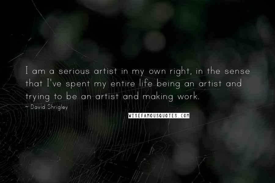 David Shrigley Quotes: I am a serious artist in my own right, in the sense that I've spent my entire life being an artist and trying to be an artist and making work.