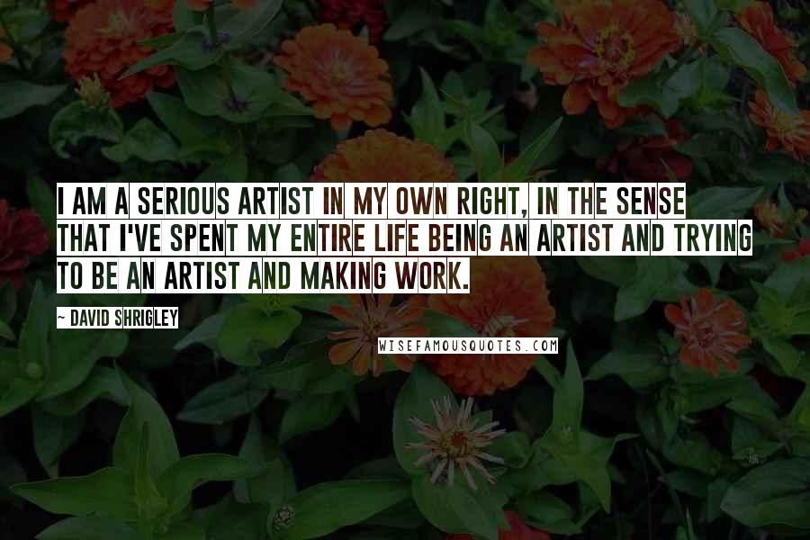 David Shrigley Quotes: I am a serious artist in my own right, in the sense that I've spent my entire life being an artist and trying to be an artist and making work.