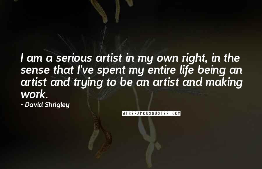 David Shrigley Quotes: I am a serious artist in my own right, in the sense that I've spent my entire life being an artist and trying to be an artist and making work.