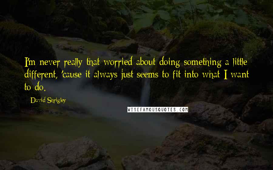 David Shrigley Quotes: I'm never really that worried about doing something a little different, 'cause it always just seems to fit into what I want to do.