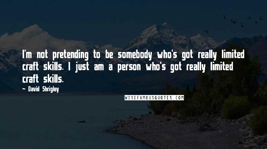 David Shrigley Quotes: I'm not pretending to be somebody who's got really limited craft skills. I just am a person who's got really limited craft skills.