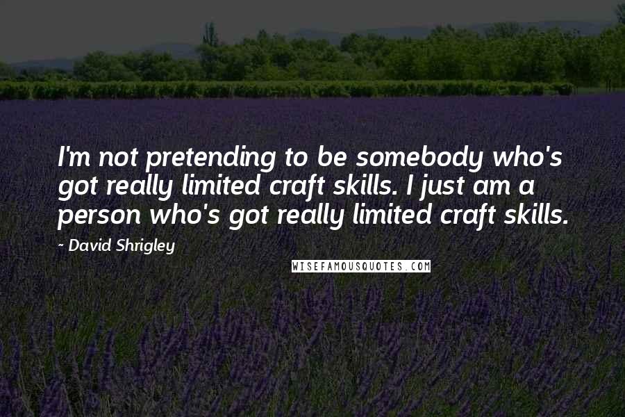 David Shrigley Quotes: I'm not pretending to be somebody who's got really limited craft skills. I just am a person who's got really limited craft skills.