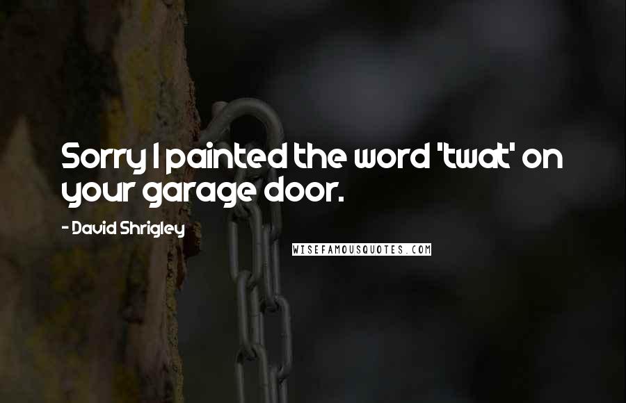David Shrigley Quotes: Sorry I painted the word 'twat' on your garage door.