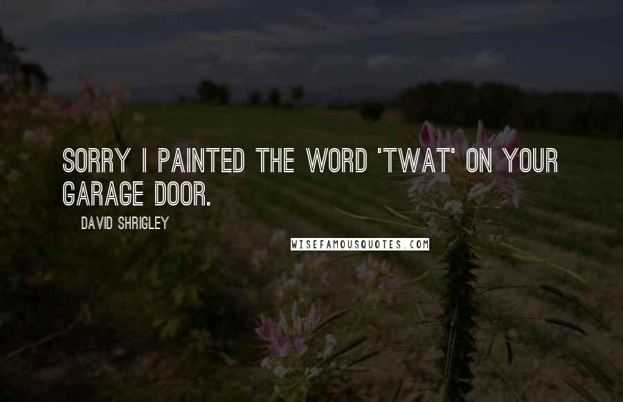 David Shrigley Quotes: Sorry I painted the word 'twat' on your garage door.