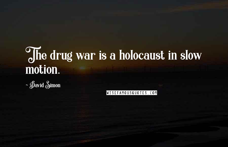 David Simon Quotes: The drug war is a holocaust in slow motion.