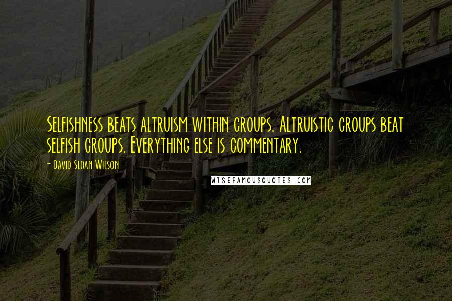 David Sloan Wilson Quotes: Selfishness beats altruism within groups. Altruistic groups beat selfish groups. Everything else is commentary.