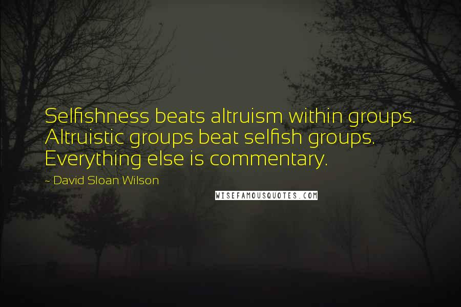David Sloan Wilson Quotes: Selfishness beats altruism within groups. Altruistic groups beat selfish groups. Everything else is commentary.