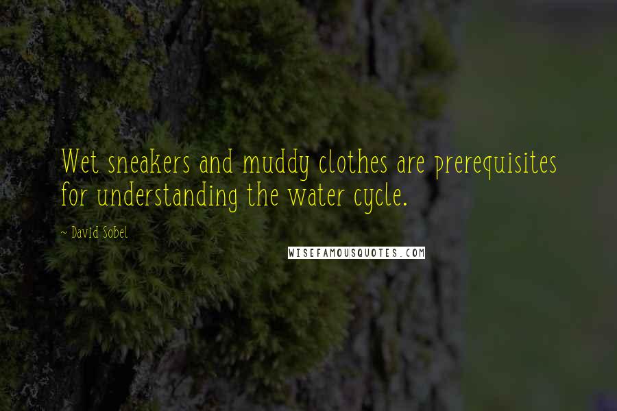 David Sobel Quotes: Wet sneakers and muddy clothes are prerequisites for understanding the water cycle.