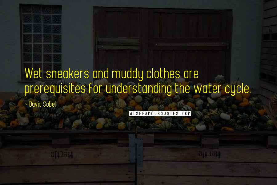 David Sobel Quotes: Wet sneakers and muddy clothes are prerequisites for understanding the water cycle.