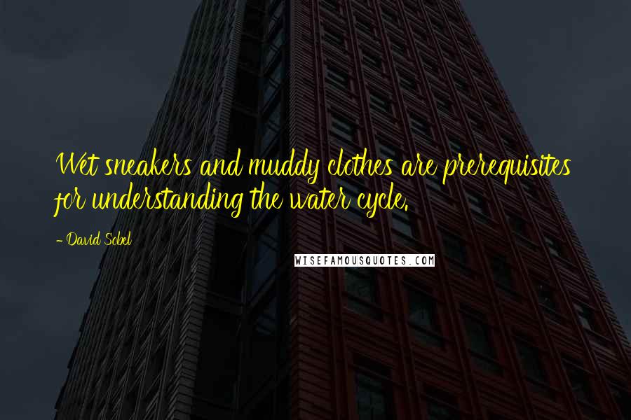 David Sobel Quotes: Wet sneakers and muddy clothes are prerequisites for understanding the water cycle.