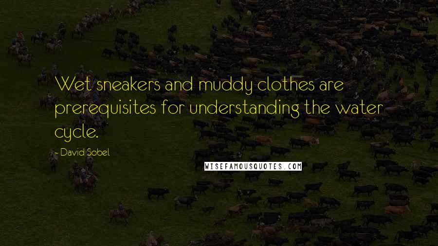 David Sobel Quotes: Wet sneakers and muddy clothes are prerequisites for understanding the water cycle.