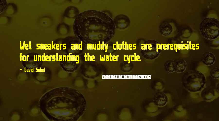 David Sobel Quotes: Wet sneakers and muddy clothes are prerequisites for understanding the water cycle.