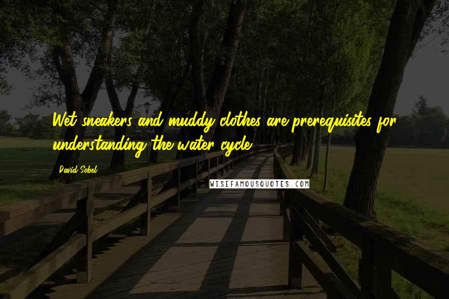 David Sobel Quotes: Wet sneakers and muddy clothes are prerequisites for understanding the water cycle.