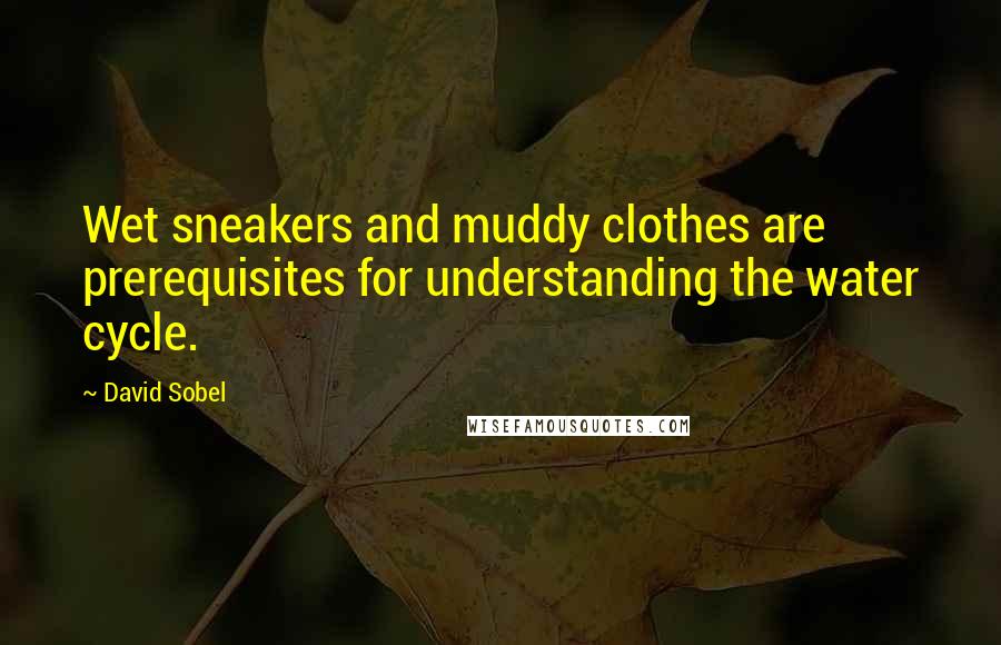 David Sobel Quotes: Wet sneakers and muddy clothes are prerequisites for understanding the water cycle.