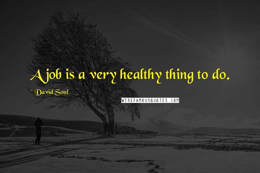 David Soul Quotes: A job is a very healthy thing to do.