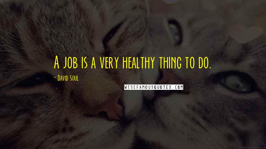 David Soul Quotes: A job is a very healthy thing to do.