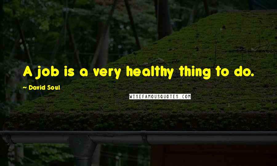 David Soul Quotes: A job is a very healthy thing to do.