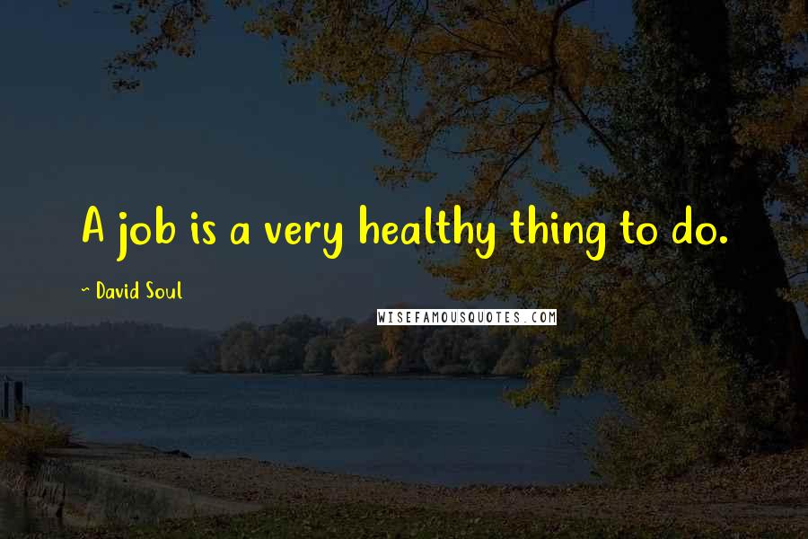 David Soul Quotes: A job is a very healthy thing to do.