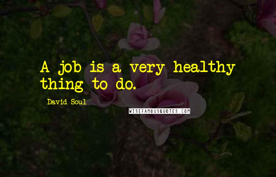 David Soul Quotes: A job is a very healthy thing to do.