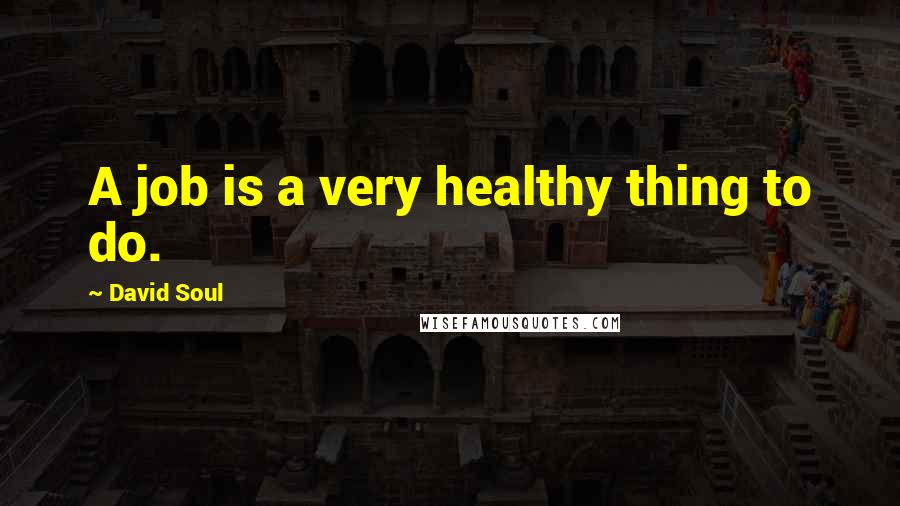 David Soul Quotes: A job is a very healthy thing to do.