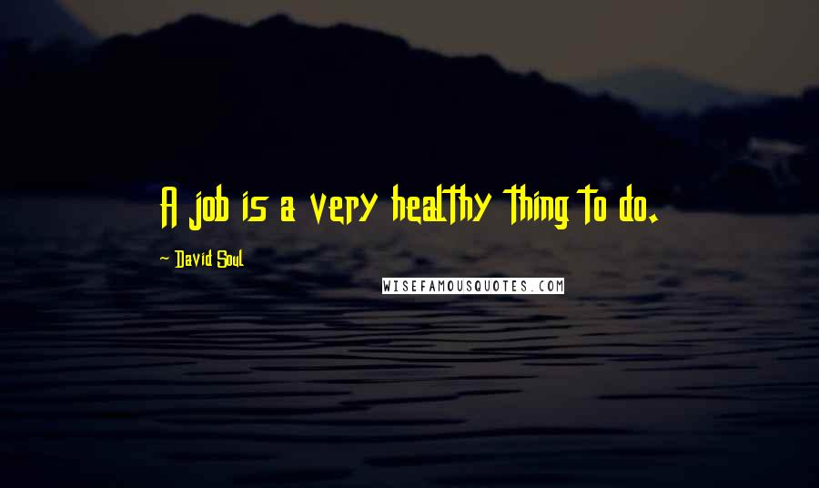 David Soul Quotes: A job is a very healthy thing to do.
