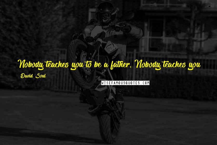 David Soul Quotes: Nobody teaches you to be a father. Nobody teaches you to be a husband. Nobody teaches you how to be a star. You have to learn to work with the tools.