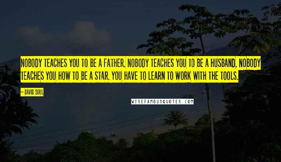 David Soul Quotes: Nobody teaches you to be a father. Nobody teaches you to be a husband. Nobody teaches you how to be a star. You have to learn to work with the tools.