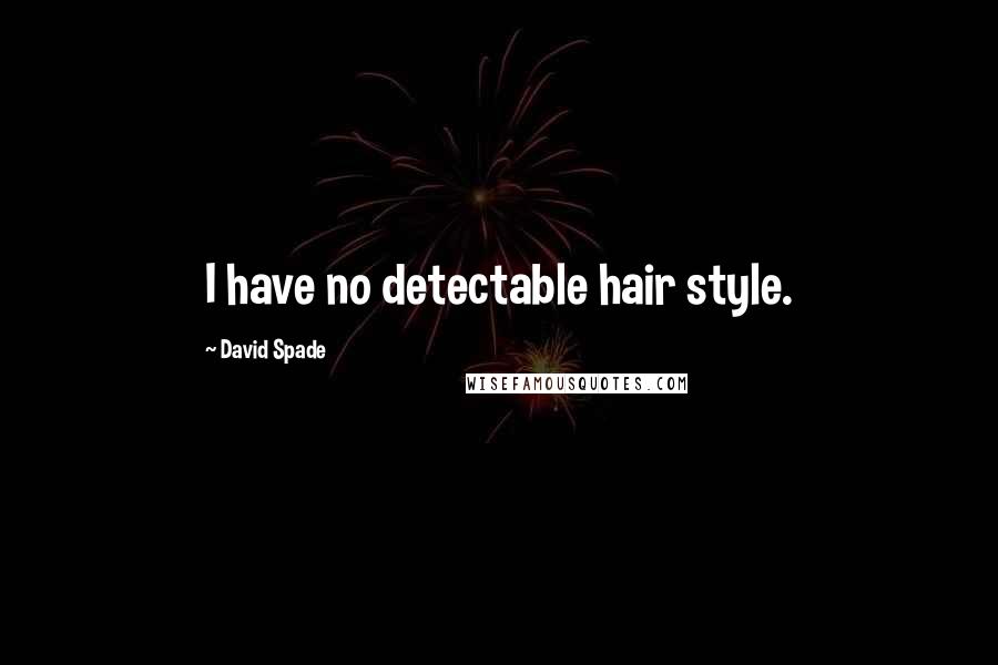 David Spade Quotes: I have no detectable hair style.