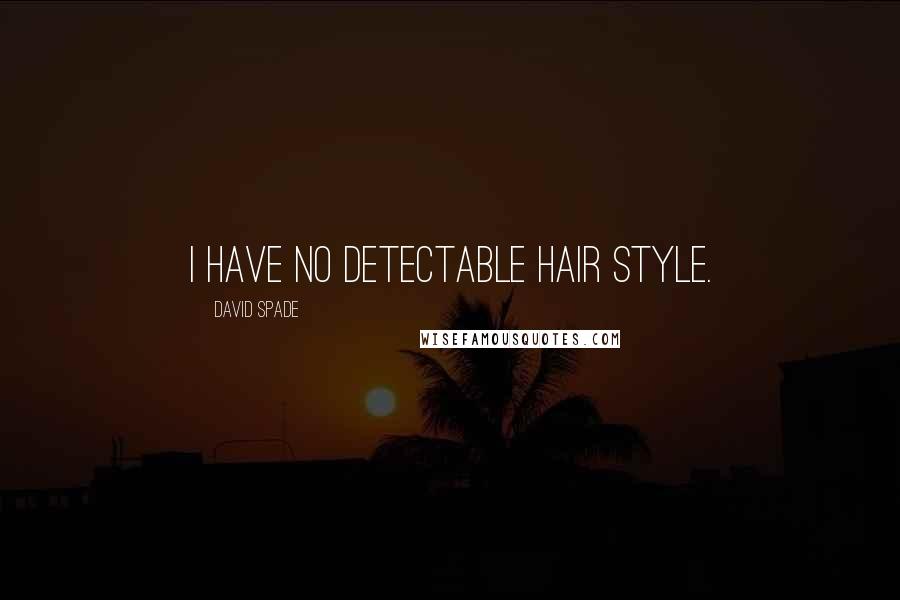 David Spade Quotes: I have no detectable hair style.