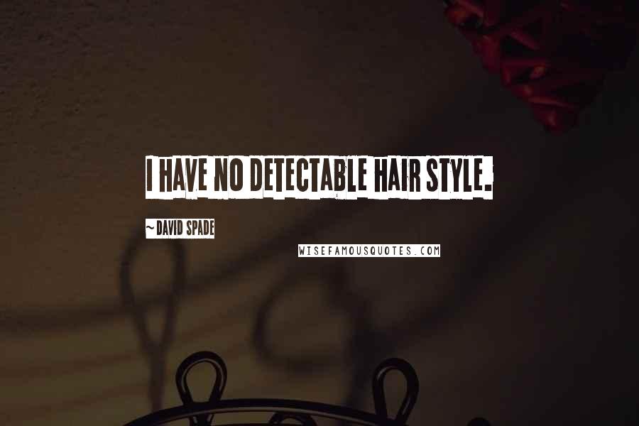 David Spade Quotes: I have no detectable hair style.