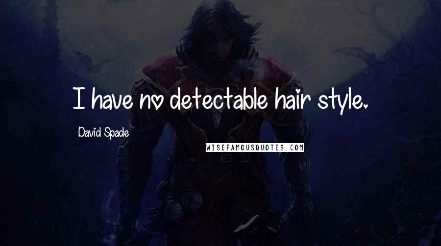 David Spade Quotes: I have no detectable hair style.