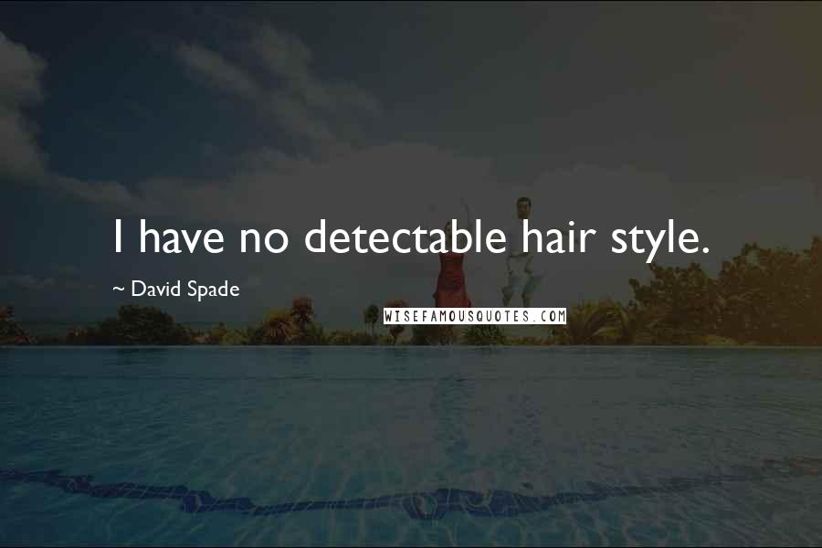 David Spade Quotes: I have no detectable hair style.