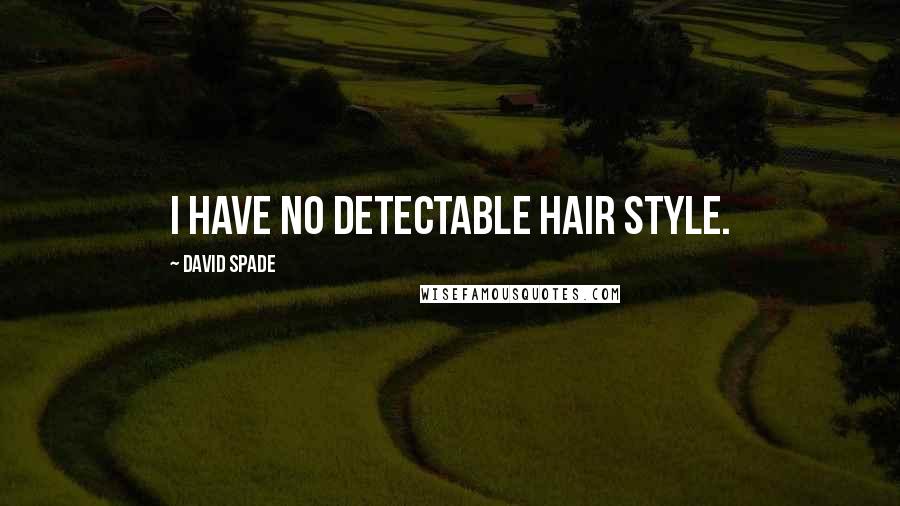 David Spade Quotes: I have no detectable hair style.