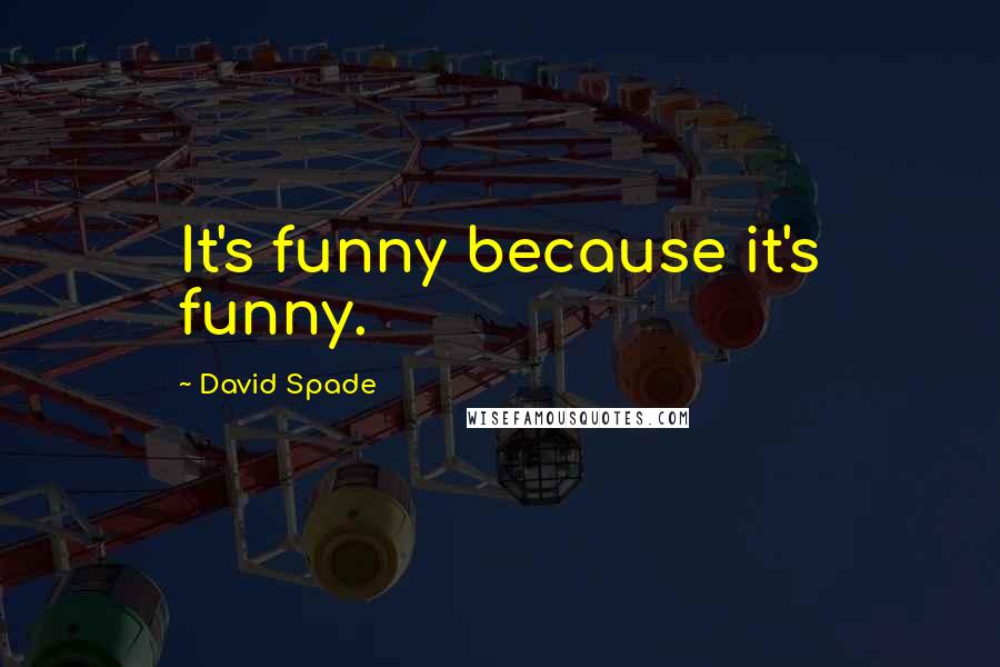 David Spade Quotes: It's funny because it's funny.