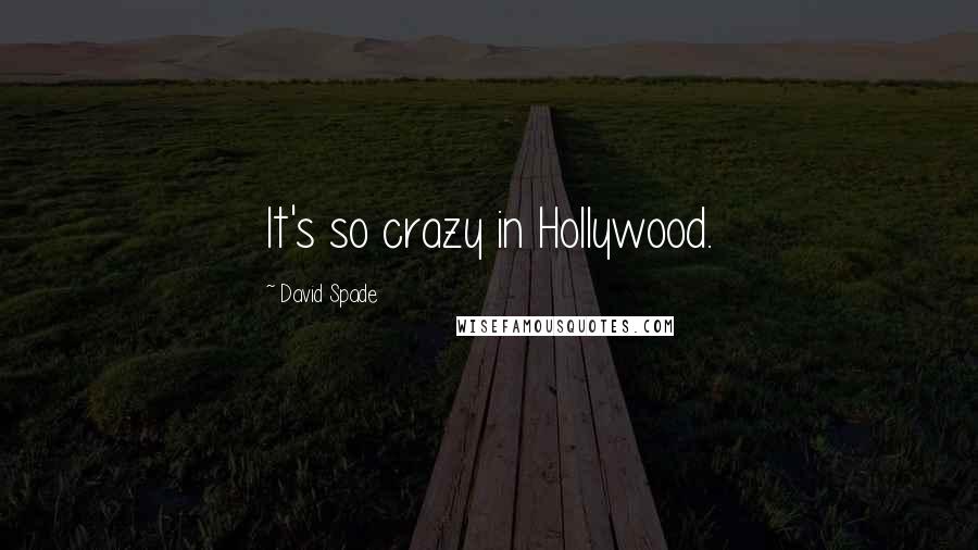 David Spade Quotes: It's so crazy in Hollywood.