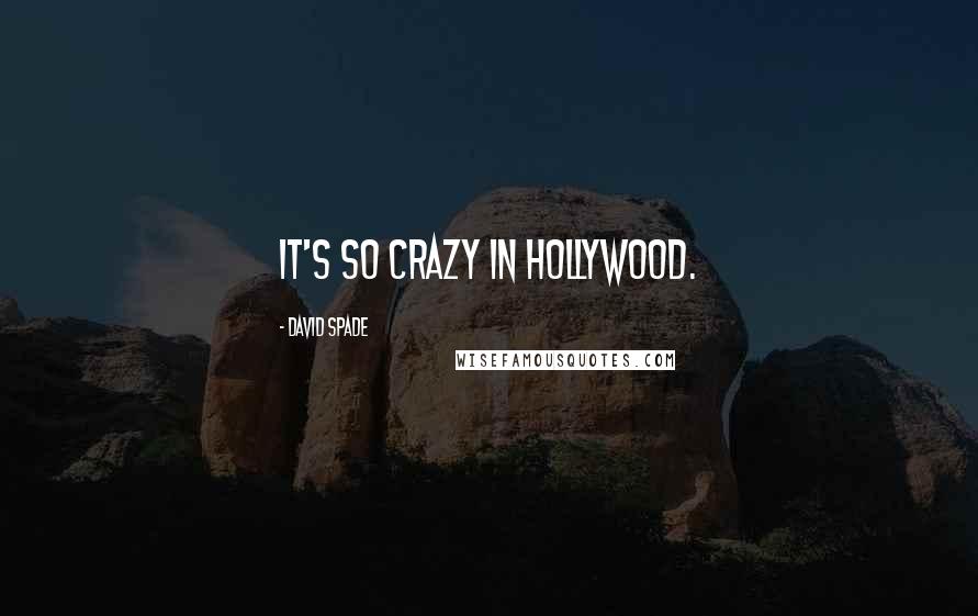 David Spade Quotes: It's so crazy in Hollywood.