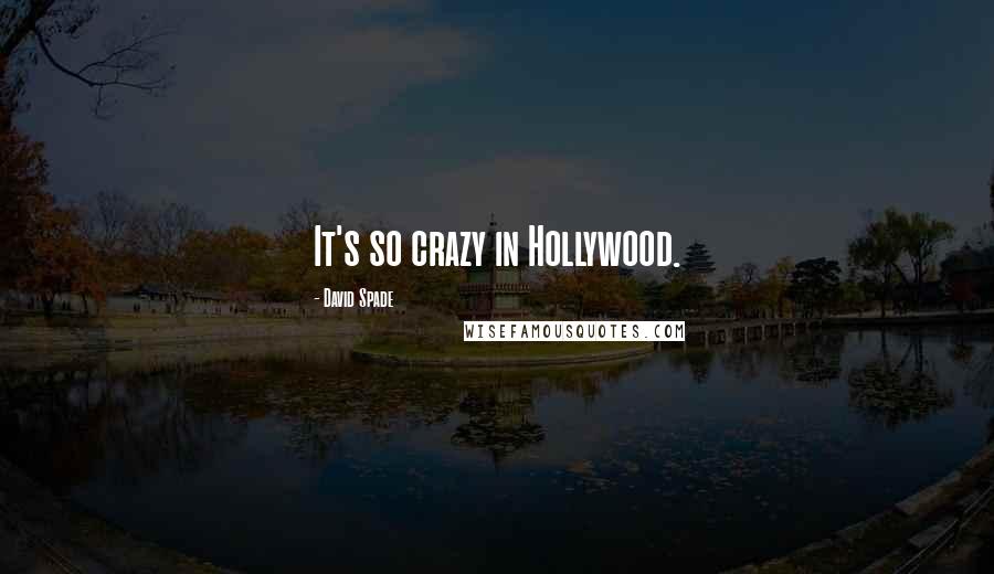 David Spade Quotes: It's so crazy in Hollywood.