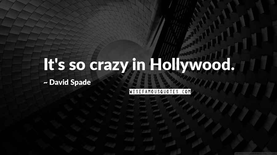 David Spade Quotes: It's so crazy in Hollywood.