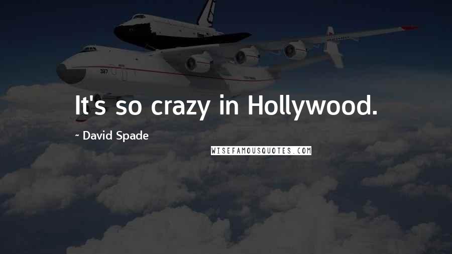 David Spade Quotes: It's so crazy in Hollywood.