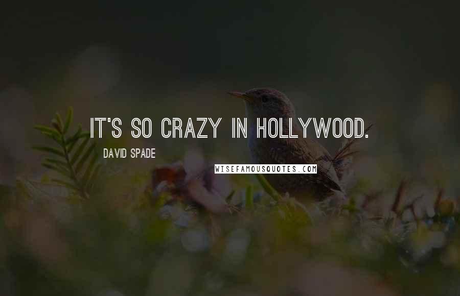 David Spade Quotes: It's so crazy in Hollywood.