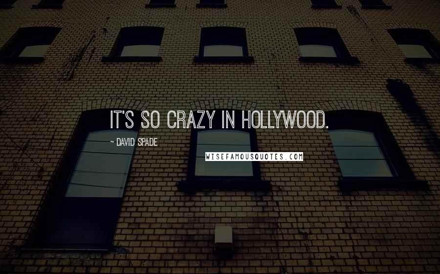 David Spade Quotes: It's so crazy in Hollywood.